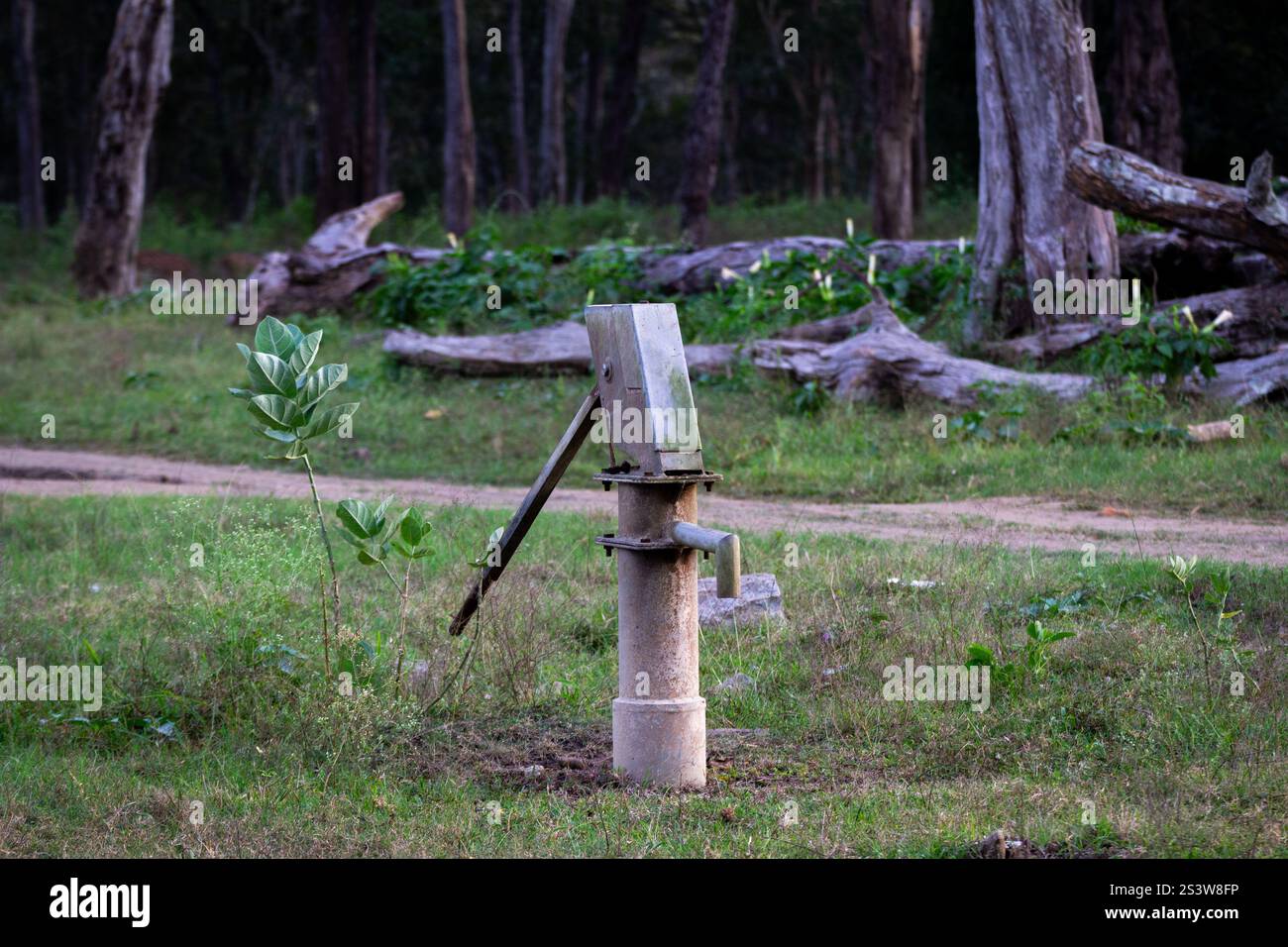 Nahaufnahme einer Handpumpe mitten im Wald Stockfoto