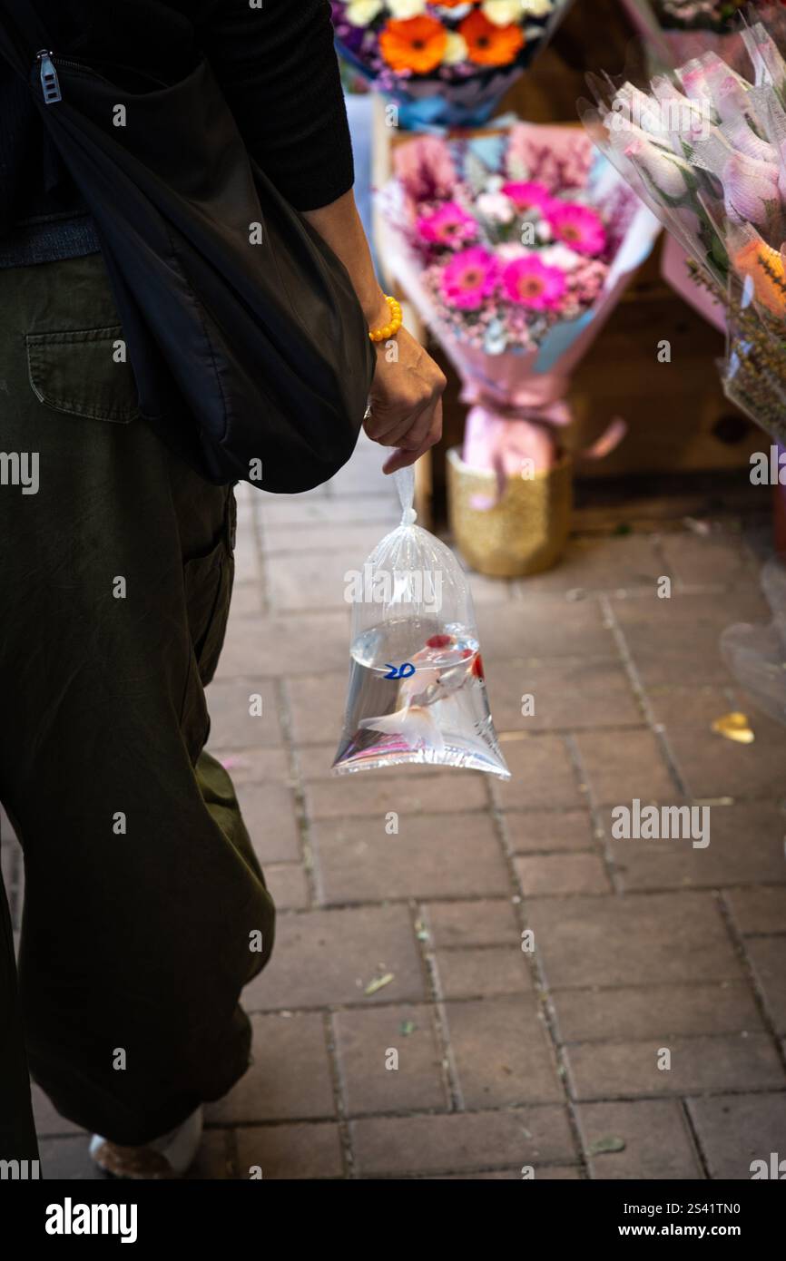 Eine Frau, die einen Fisch in Plastiktüte trägt, läuft auf dem Blumenmarkt Stockfoto