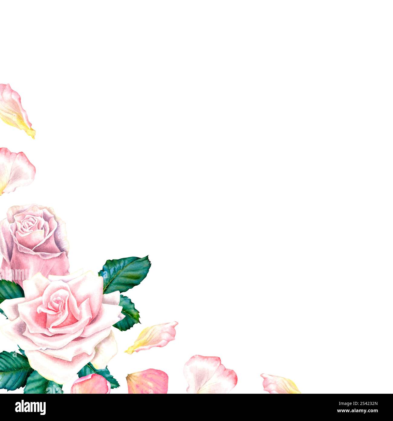 Aquarellrosen in pastellrosa Farben. Handgezeichnete Blumenabbildung für Hochzeitseinladungen oder Grußkarten auf isoliertem Hintergrund. Stockfoto