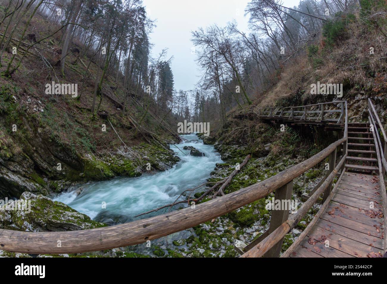 Das Wasser stürzt den Fluss in der Vintgar-Schlucht hinunter. Die hölzernen Brücken sind leer von Menschen an einem kalten Nachmittag Stockfoto