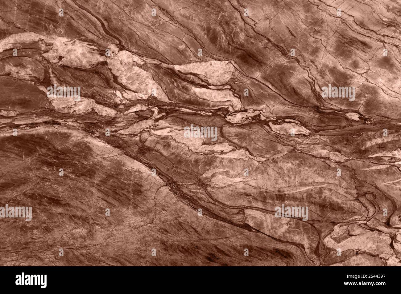 Natürliche Quarzitplatte in weichen Mokkatönen mit eleganter Aderung und Erdwärme. Stockfoto