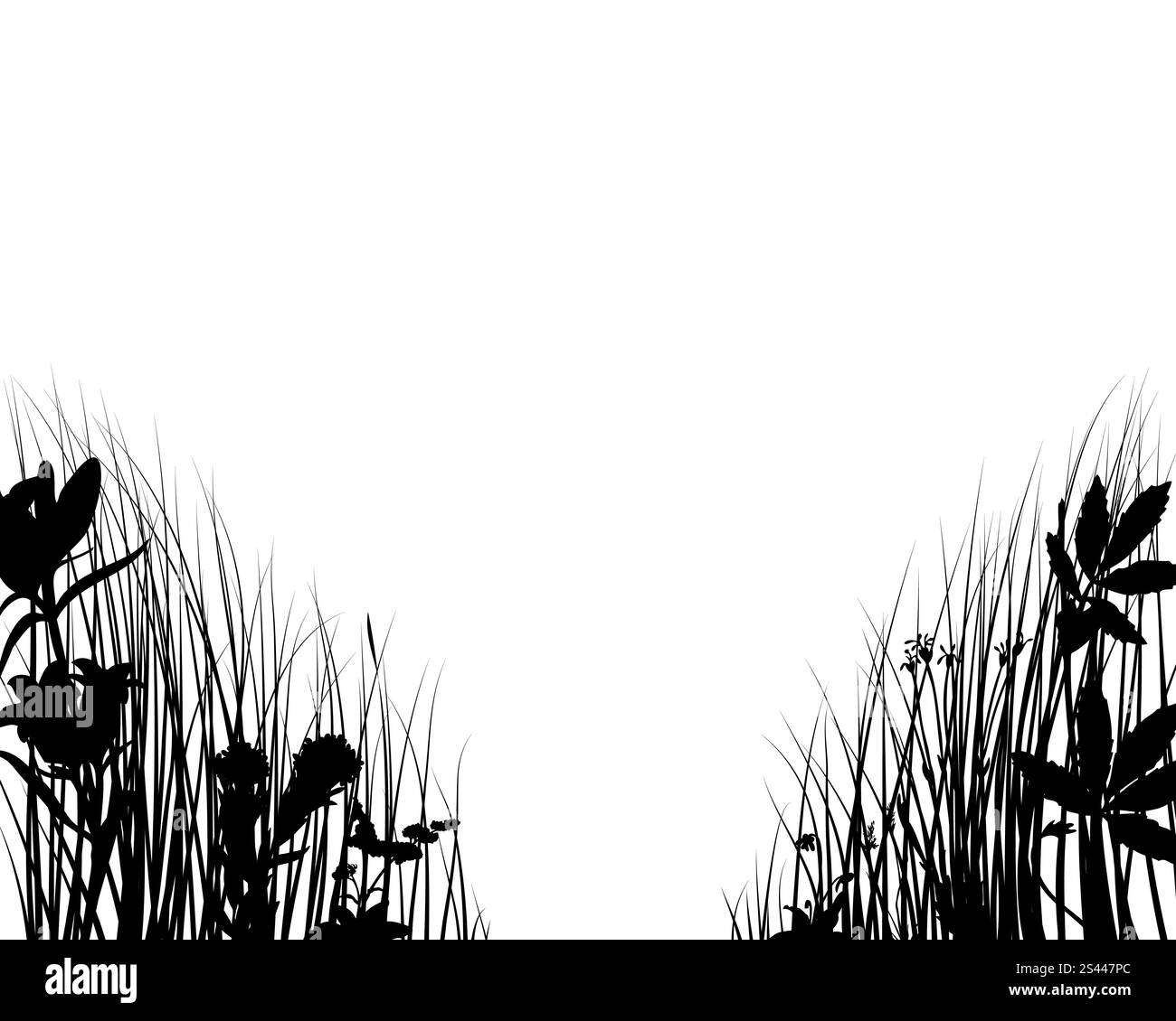 Grass Silhouetten verzierten auf dem weißen Hintergrund Stock Vektor