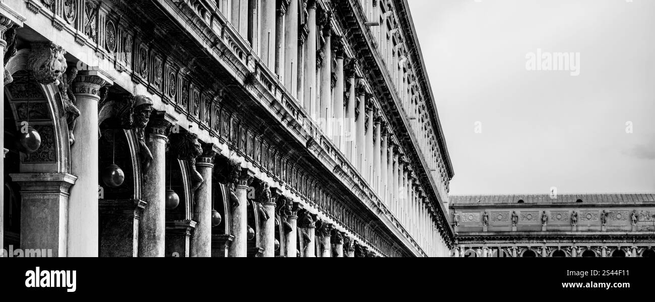 Die komplexen architektonischen Merkmale der Neuen Procuracies am Markusplatz zeigen atemberaubende Säulen und akribische Handwerkskunst, die Venedigs reiche Geschichte und Kunstfertigkeit hervorheben. Stockfoto