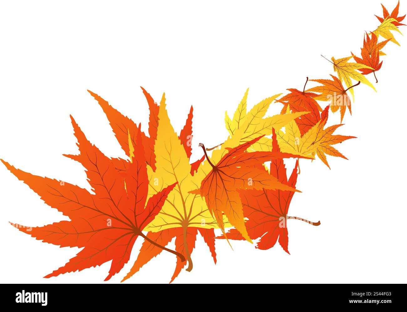 Verdrehte Reihe von Herbst Ahorn Blätter. Vektor-Illustration. Stock Vektor Verdrehte Reihe von Herbst Ahorn Blätter. Vektor-Illustration. Stock Vektor