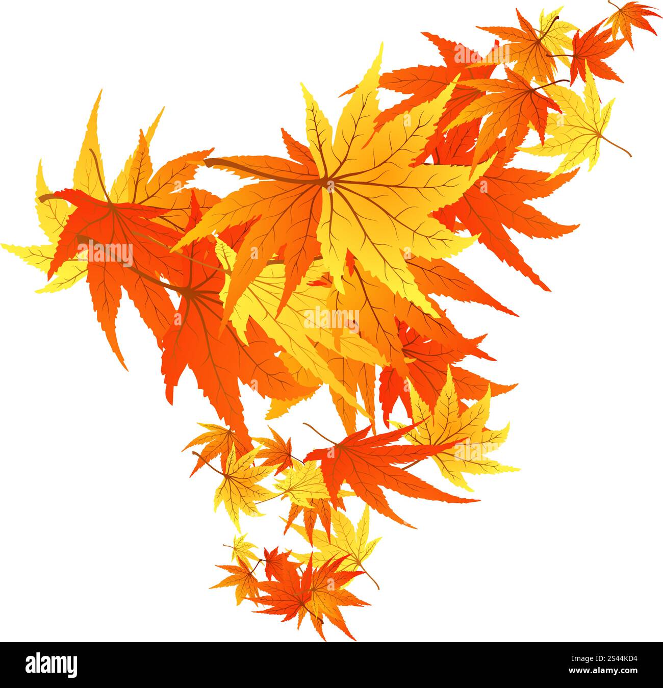 Verdrehte Reihe von Herbst Ahorn Blätter. Vektor-Illustration. Stock Vektor Verdrehte Reihe von Herbst Ahorn Blätter. Vektor-Illustration. Stock Vektor