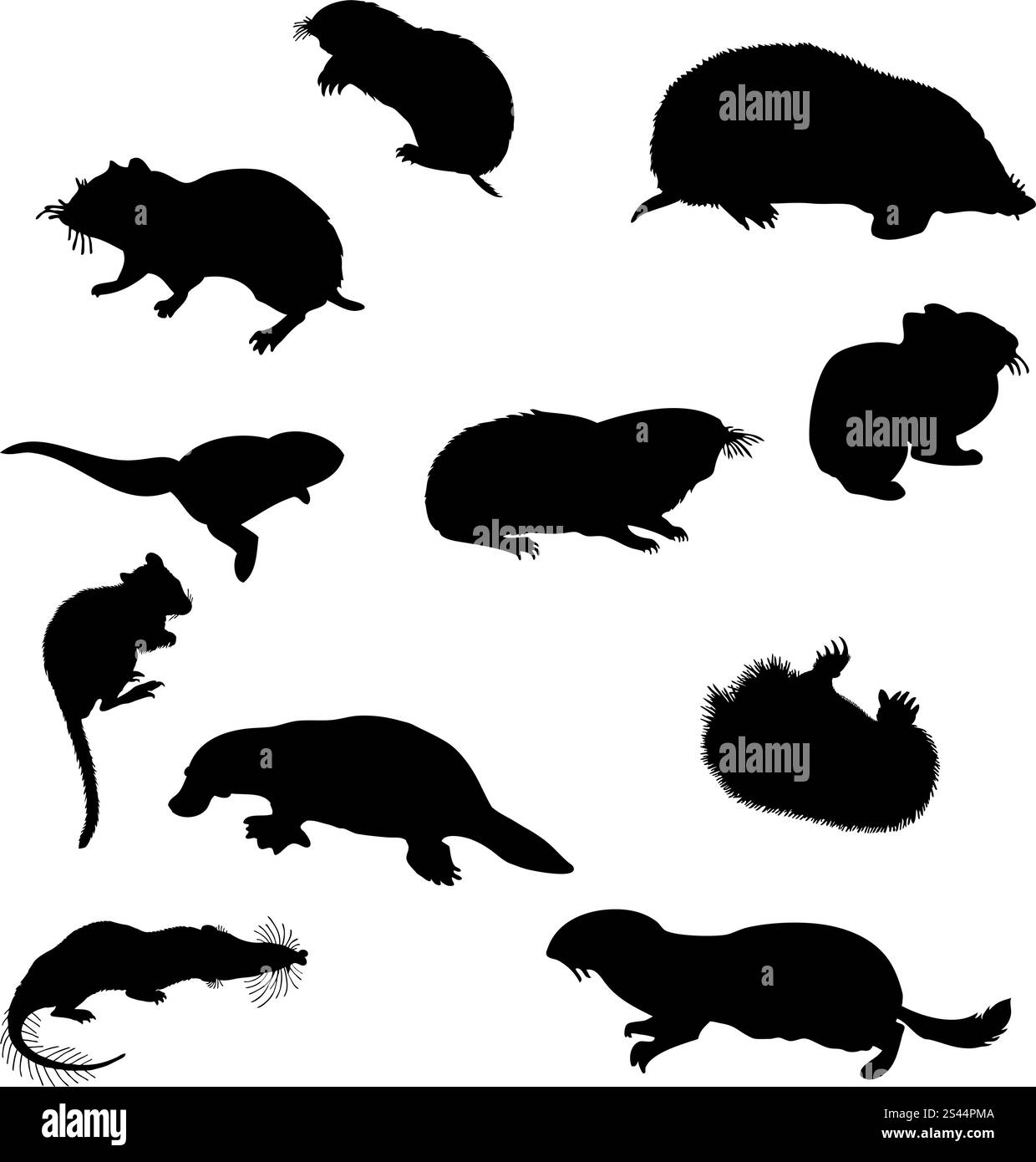 Sammlung von Biber und andere Nagetiere Silhouetten. Vektor-Illustration. Stock Vektor