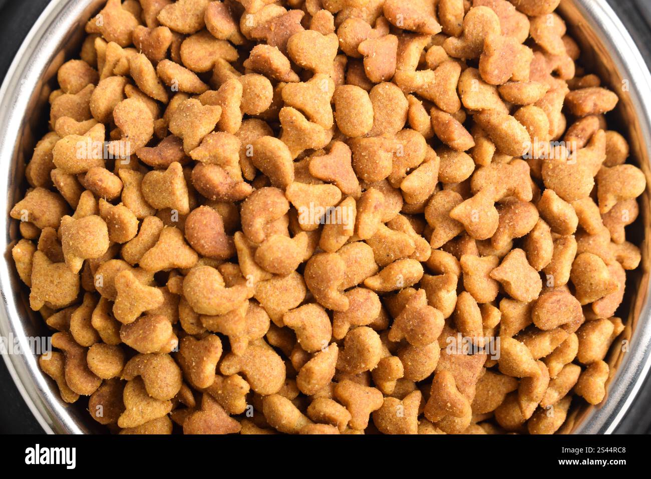 Katzenfutter in Schüssel isoliert auf weißem Hintergrund. Braunes Katzenfutter. Flache Lage, Draufsicht Stockfoto