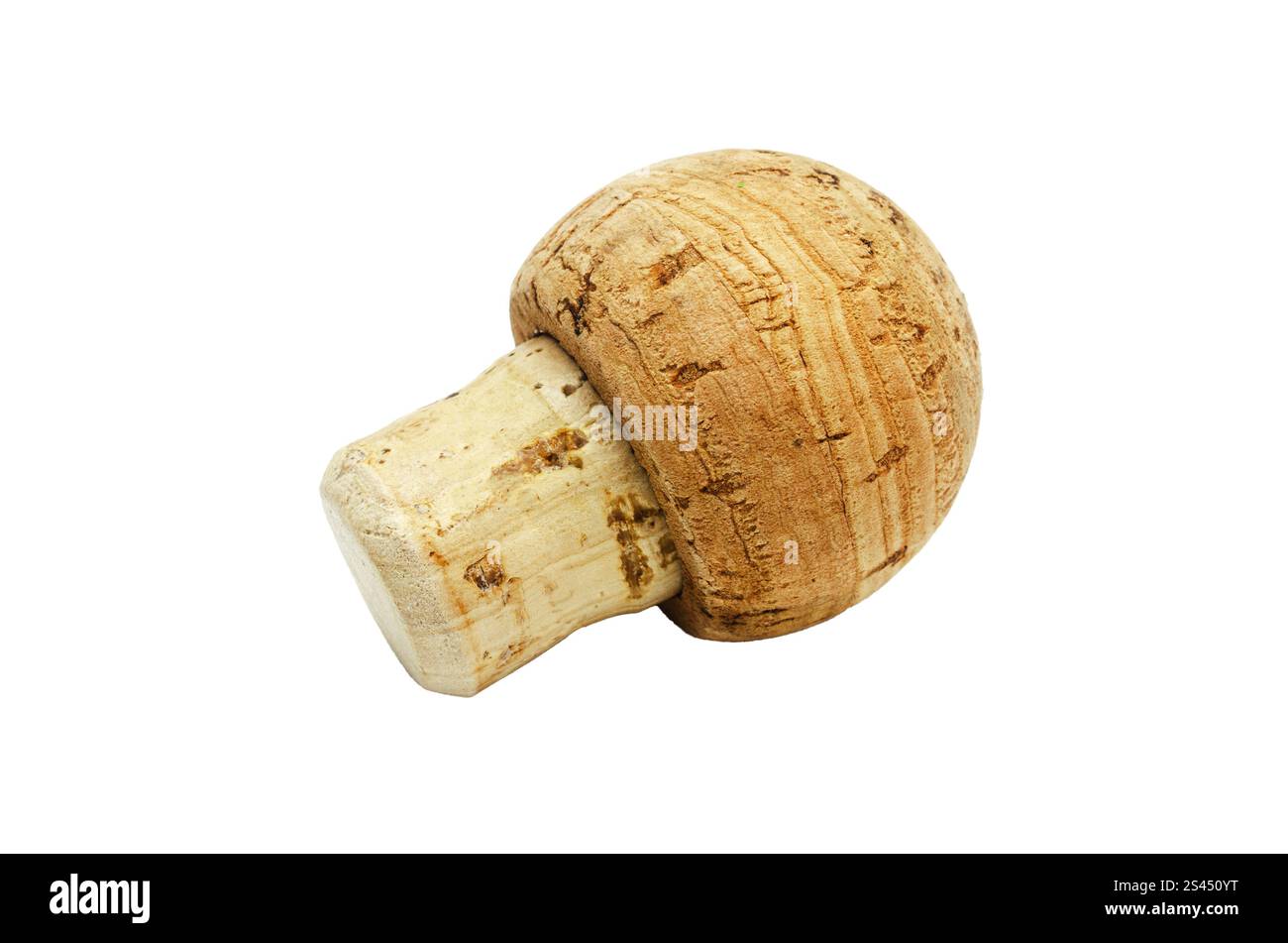 Eine Nahaufnahme eines Weinkorken vor einem hellen weißen Hintergrund. Der Kork hat eine zylindrische Form mit einer abgerundeten Spitze, die den charakteristischen porou-Charakter zeigt Stockfoto