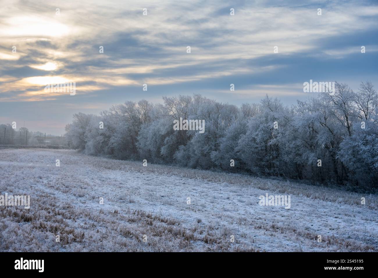 Winterliche Szene mit frostbedeckten Feldern in der Nähe von Warrington. Stockfoto