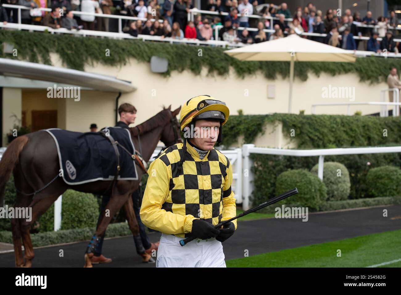 Ascot, Berkshire, Großbritannien. November 2024. Jockey P Townend macht sich auf den Weg zum Byrne Group Handicap Steeple Chase Class 1 Premier Handicap GBB Race beim Ascot Fireworks Spectacular Family Raceday auf der Ascot Racecourse, Berkshire. Kredit: Maureen McLean/Alamy Stockfoto