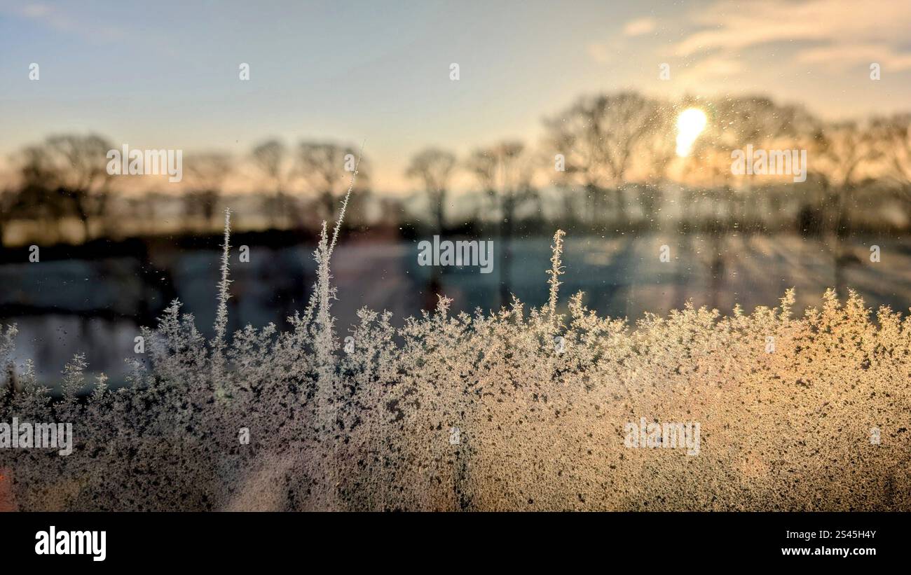 Frostflocken in der Wintersonne - Smartphone-aufgenommenes Stockfoto