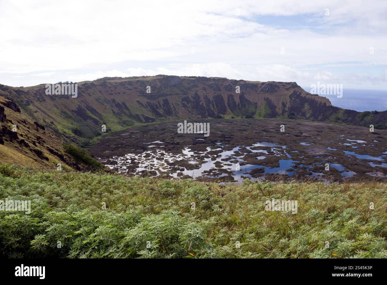 Wasser befindet sich am Boden des Kraters bei Rano Kau, dem erloschenen Vulkan auf der Osterinsel. Stockfoto