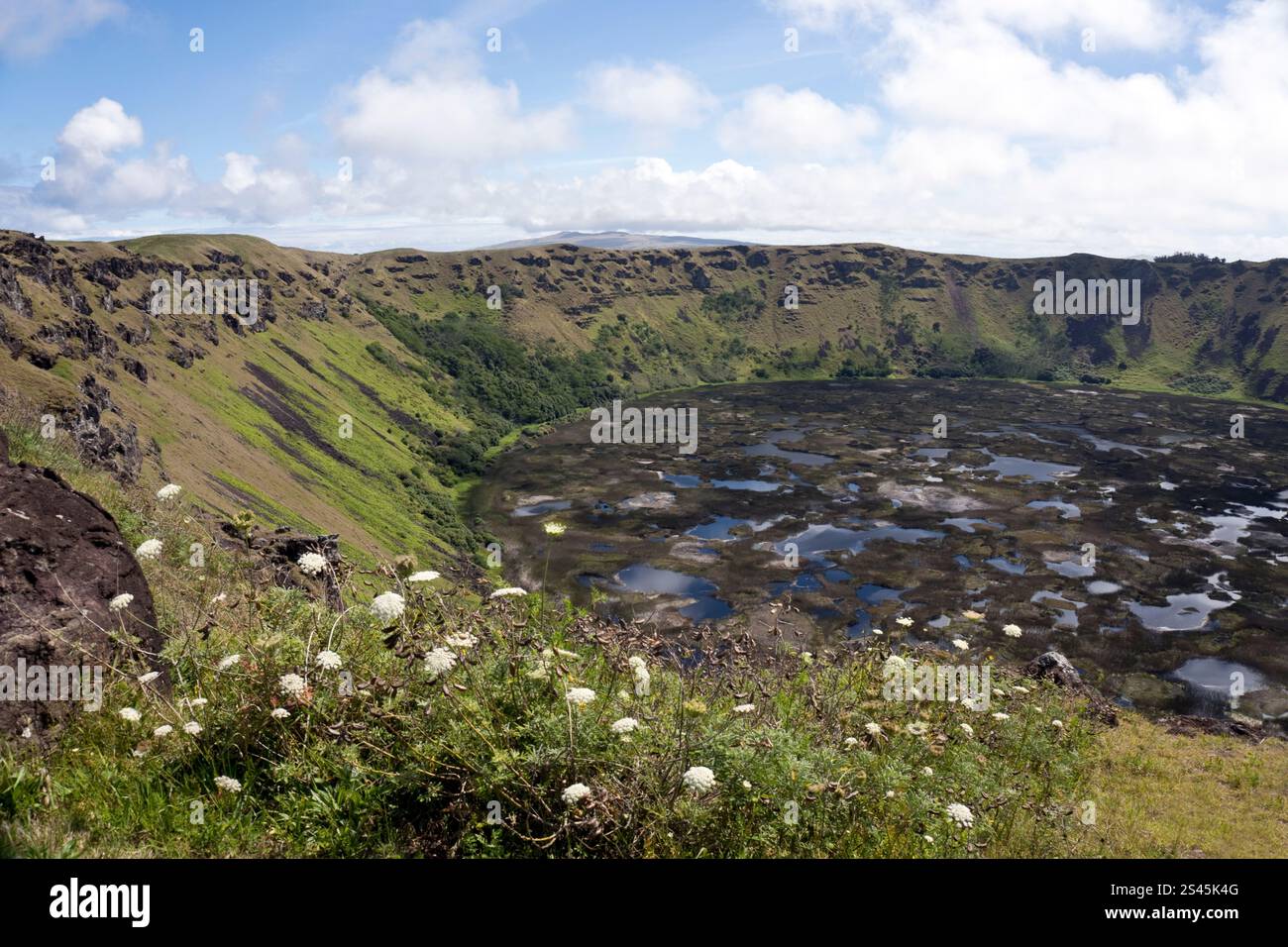 Wasser befindet sich am Boden des Kraters bei Rano Kau, dem erloschenen Vulkan auf der Osterinsel. Stockfoto
