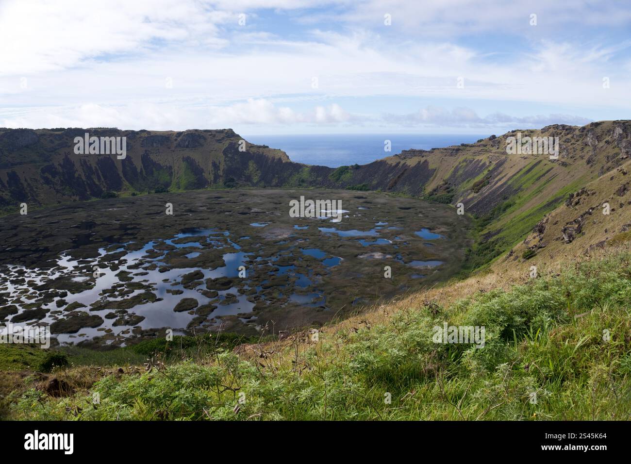 Wasser befindet sich am Boden des Kraters bei Rano Kau, dem erloschenen Vulkan auf der Osterinsel. Stockfoto