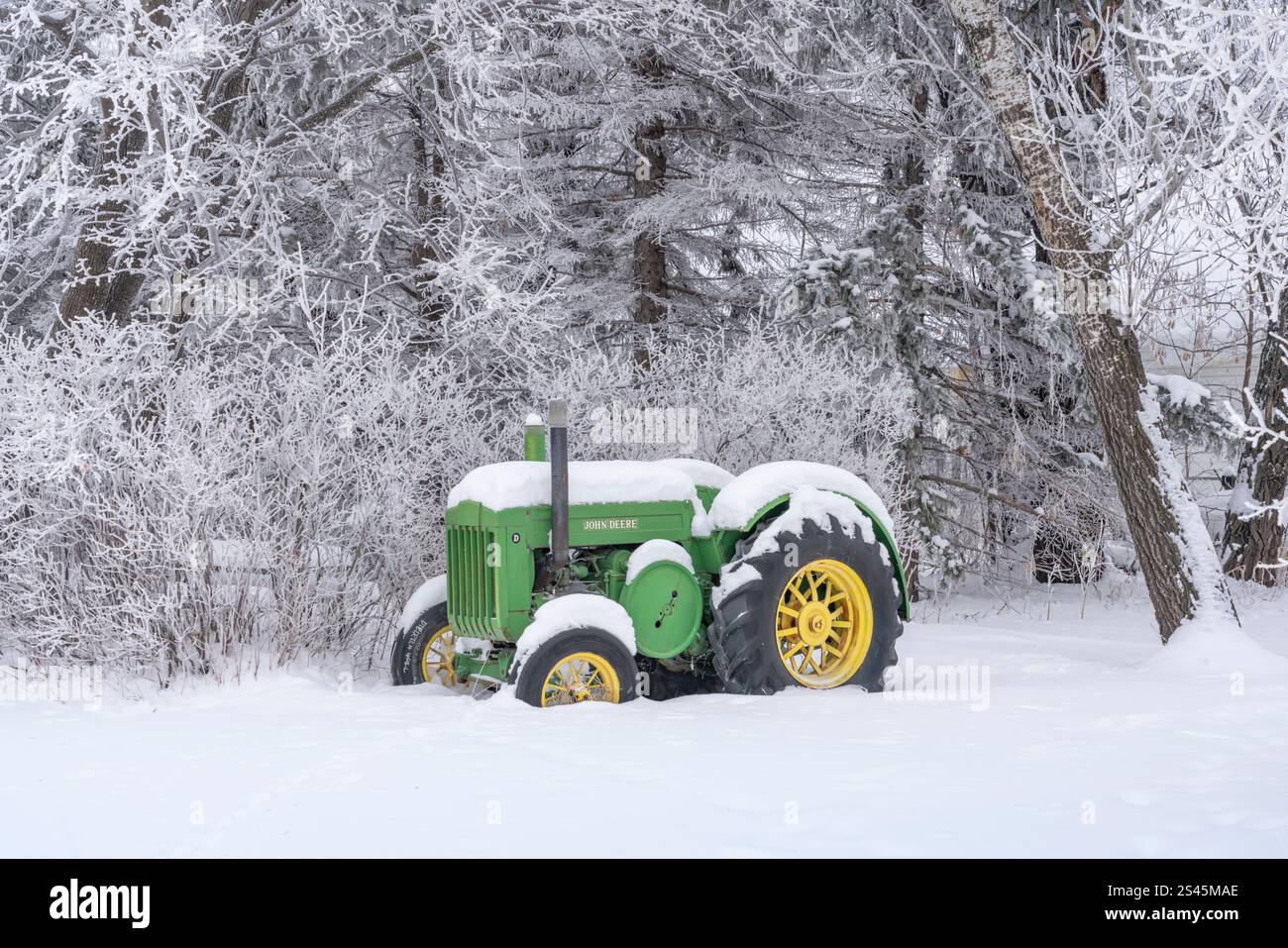 Ein alter John Deere-Traktor in den Schnee- und Raureif bedeckten Bäumen in der Nähe von Osterwick, Manitoba, Kanada Stockfoto