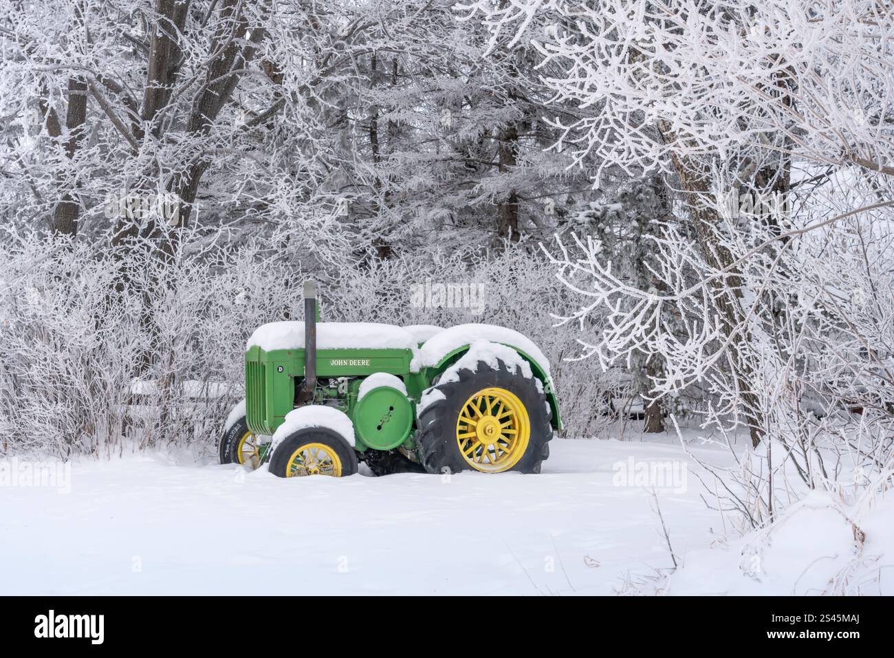 Ein alter John Deere-Traktor in den Schnee- und Raureif bedeckten Bäumen in der Nähe von Osterwick, Manitoba, Kanada Stockfoto