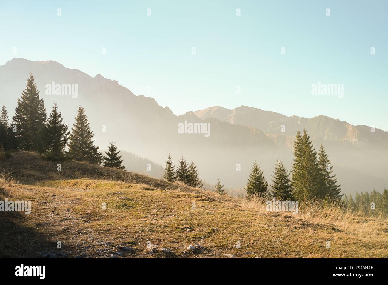 Eine ruhige Berglandschaft bei Sonnenaufgang mit nebligen Gipfeln, üppigen immergrünen Bäumen und einem grasbewachsenen Pfad, der einen ruhigen und natürlichen Zufluchtsort bietet. Stockfoto