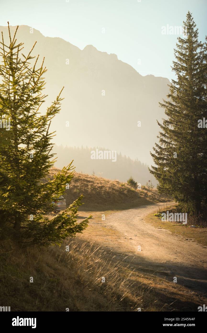 Eine ruhige Berglandschaft bei Sonnenaufgang mit nebligen Gipfeln, üppigen immergrünen Bäumen und einem grasbewachsenen Pfad, der einen ruhigen und natürlichen Zufluchtsort bietet. Stockfoto