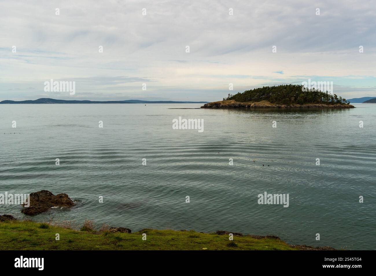 Täuschungsinsel wird an einem bewölkten Tag vom Strand des wunderschönen Deception Pass State Park in Washington, Bundesstaat USA, gesehen. Stockfoto