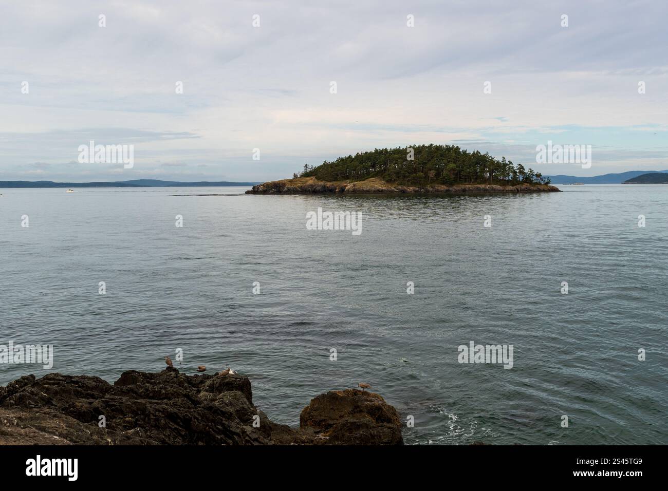 Täuschungsinsel wird an einem bewölkten Tag vom Strand des wunderschönen Deception Pass State Park im US-Bundesstaat Washington aus gesehen. Stockfoto