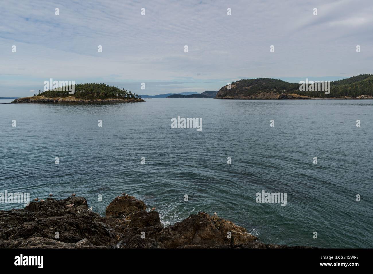 Täuschungsinsel wird an einem bewölkten Tag vom Strand des wunderschönen Deception Pass State Park im US-Bundesstaat Washington aus gesehen. Stockfoto