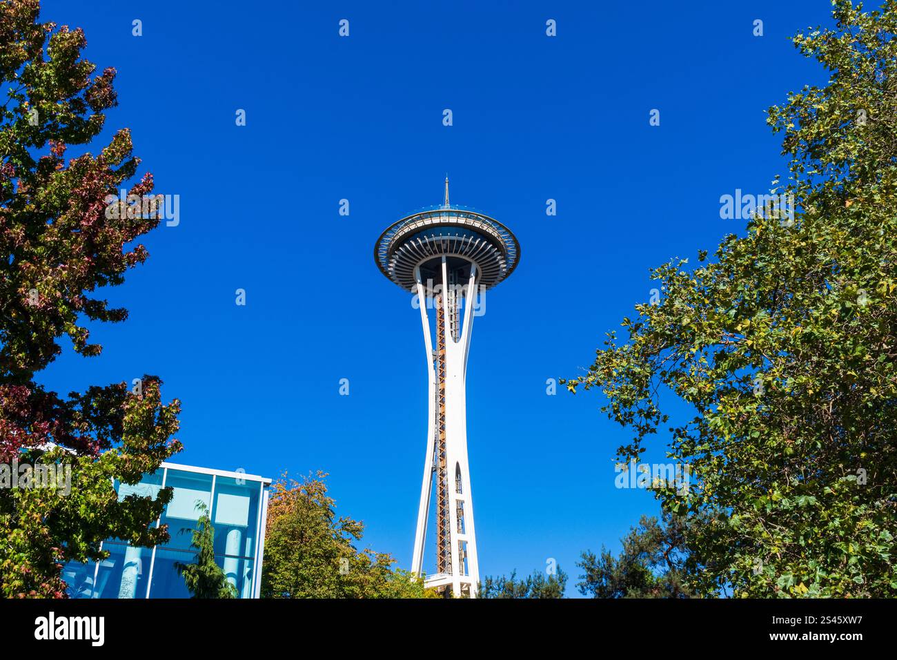 Seattle, WA / USA - 6. Oktober 2024: Seattles Space Needle vor einem wolkenlosen, blauen Himmel im Herbst. Stockfoto