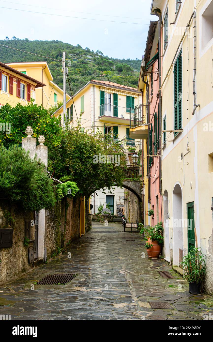 Farbenfrohe Häuser mit großen Fenstern und schmaler Straße. Monterosso, Cinque Terre, Italien Stockfoto