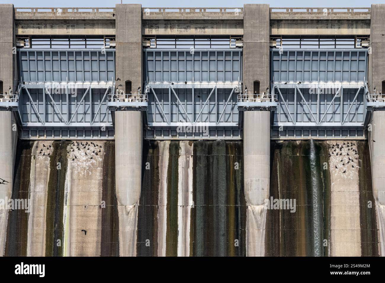 Vögel sammeln sich am Fort Gibson Dam am Fort Gibson Lake am Grand (Neosho) River in Eastern Oklahoma. (USA) Stockfoto Vögel sammeln sich am Fort Gibson Dam am Fort Gibson Lake am Grand (Neosho) River in Eastern Oklahoma. (USA) Stockfoto