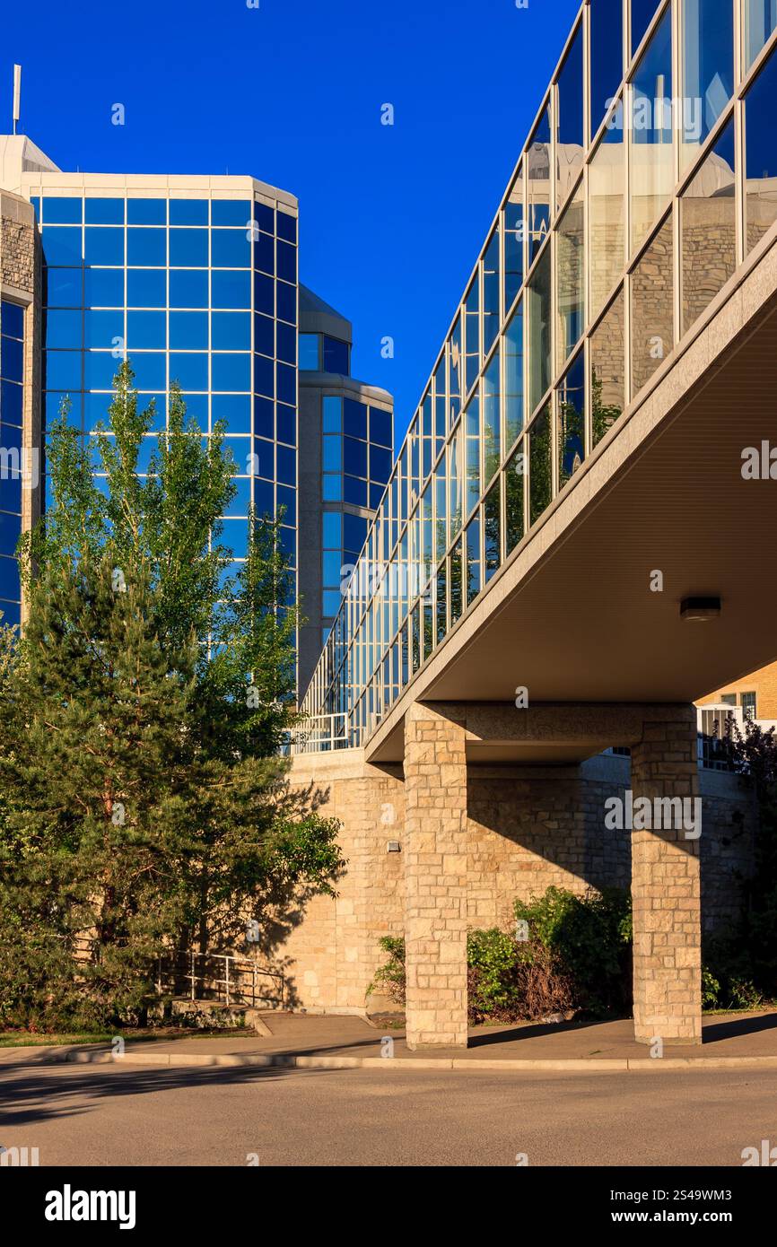 Ein großes Gebäude mit einer Glasfassade und einem Fußweg darüber. Der Gehweg besteht aus Stein und hat ein paar Bäume, die um ihn herum wachsen. Der Himmel ist blau und t Stockfoto