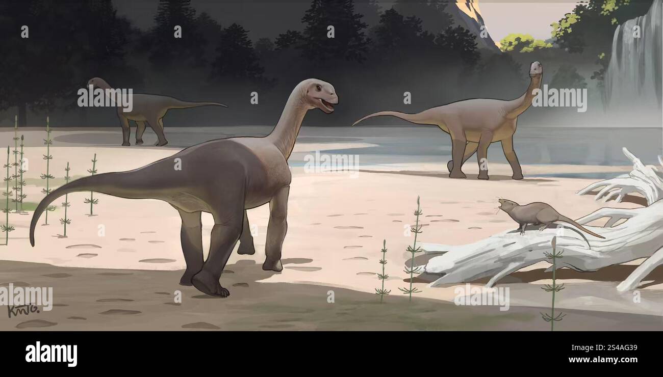 (250111) -- PEKING, 11. Januar 2025 (Xinhua) -- dieses Bild von Xing Lida, einem Associate Professor an der China University of Geosciences Beijing, zeigt eine Darstellung von Sauropoden-Dinosauriern basierend auf den fossilen Spuren, die sie in Qamdo, der autonomen Region Xizang im Südwesten Chinas, hinterlassen hatten. Chinesische Wissenschaftler gaben am Freitag bekannt, dass sie zwei Dinosaurierspuren in der Autonomen Region Xizang im Südwesten Chinas entdeckt haben, darunter eine mit dem weltweit kleinsten fossilen Sauropodenfußabdruck, der über 166 Millionen Jahre alt ist. UM MIT 'quer durch China: Der kleinste fossile saur der Welt Stockfoto