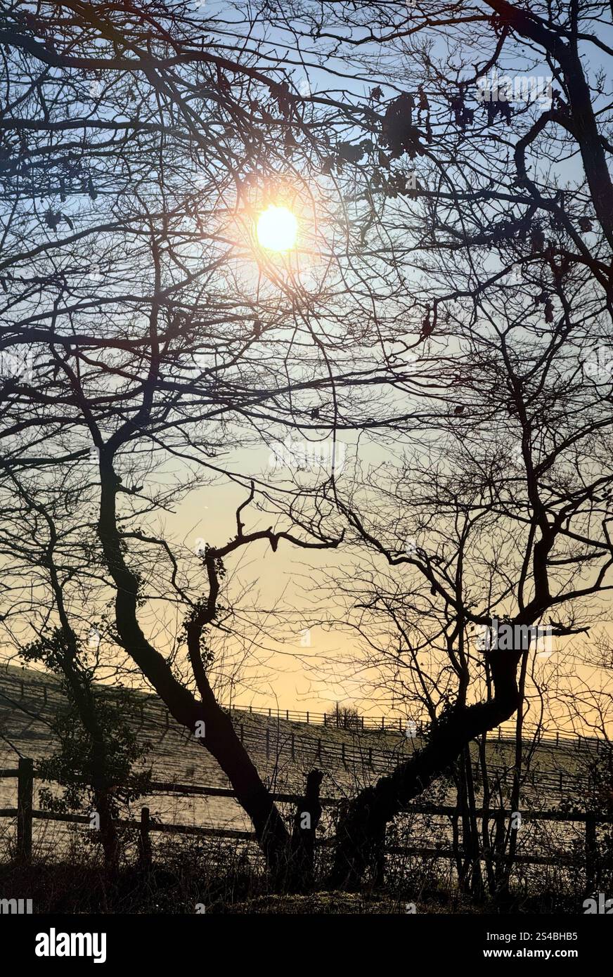 Wintersonne umrahmt von Bäumen im Wald in der Nähe von Adlington, Lancashire Stockfoto
