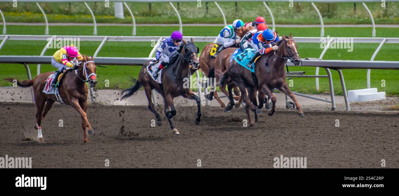 Toronto Woodbine Pferderennen 2. August 2024 Toronto Woodbine Rennstrecke Pferderennen auf matschigen Strecken, Ontario Kanada Stockfoto