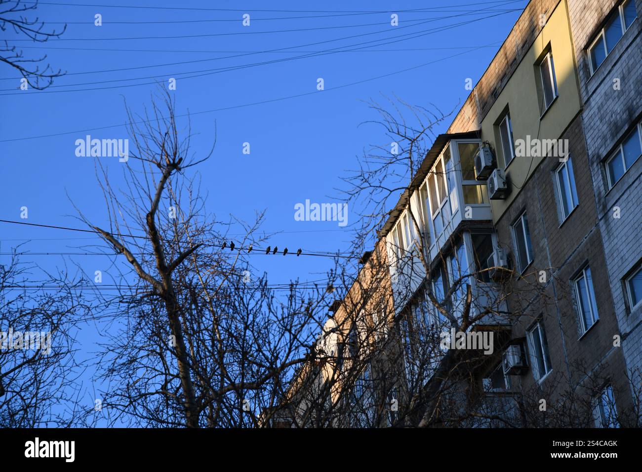 Steinplattformsockel im tropischen Wald zur Produktpräsentation und grün Stockfoto