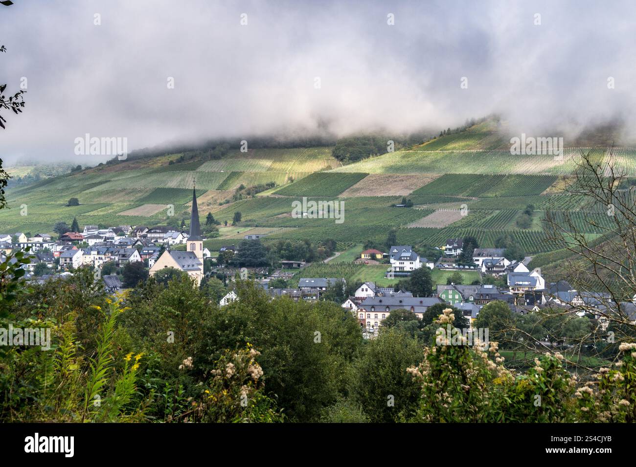 Weindorf Kröv und Weinberge, Moseltal, Rheinland-Pfalz, Deutschland Stockfoto