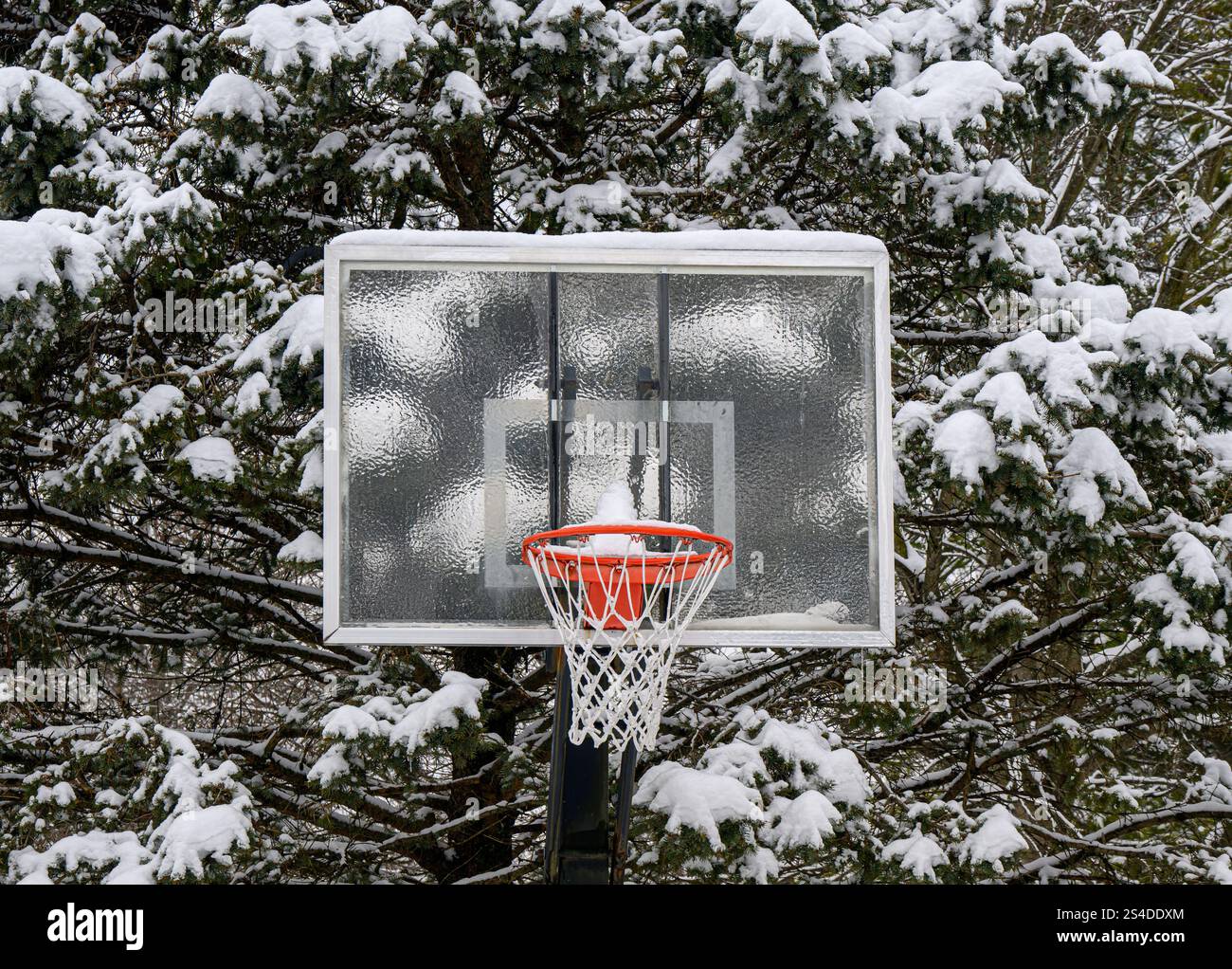Basketballtor bedeckt mit Eis und Schnee Stockfoto