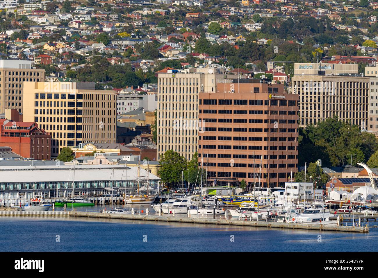 Stadtzentrum von Hobart und Uferviertel mit Yachten und Segelbooten, die im Victoria Dock, Bürogebäude und Wohngebäude der Commonwealth Bank, Australien, verankert sind Stockfoto