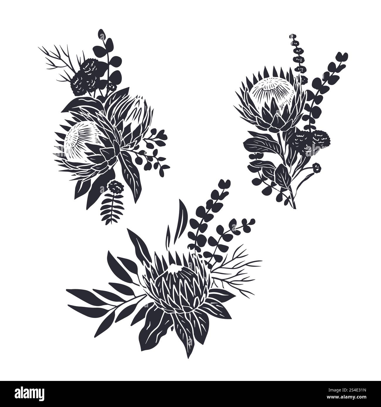 Schwarze Silhouetten von tropischen Protea-Blumen und Blättern Blumensträuße gesetzt Stock Vektor