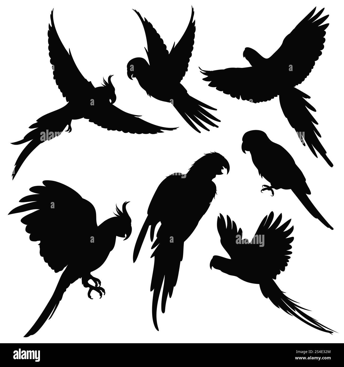 Vektorpapageien, amazonas Dschungelvögel Silhouetten isoliert auf weiß. Schwarze Silhouette Papageien, Illustration von exotischen Vogelpapageien. Vektorpapageien, amazonas Dschungelvögel Silhouetten isoliert auf weiß Stock Vektor