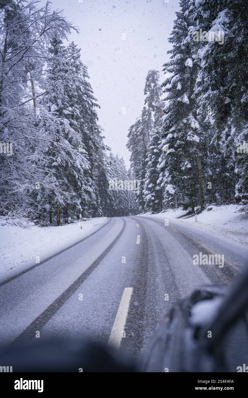 Verschneite Straße durch einen Winterwald, ruhige und kalte Atmosphäre, Enzkloesterle, Bezirk Calw, Schwarzwald, Deutschland, Europa Stockfoto