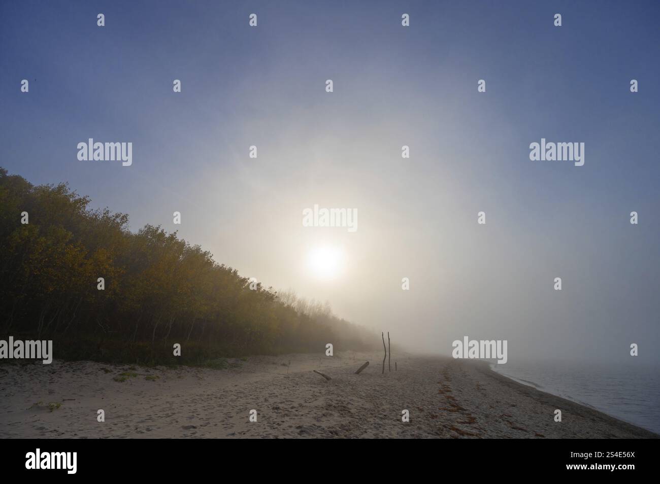 Sonne im Morgennebel auf der Ostsee, Mecklenburg-Vorpommern, Deutschland, Europa Stockfoto