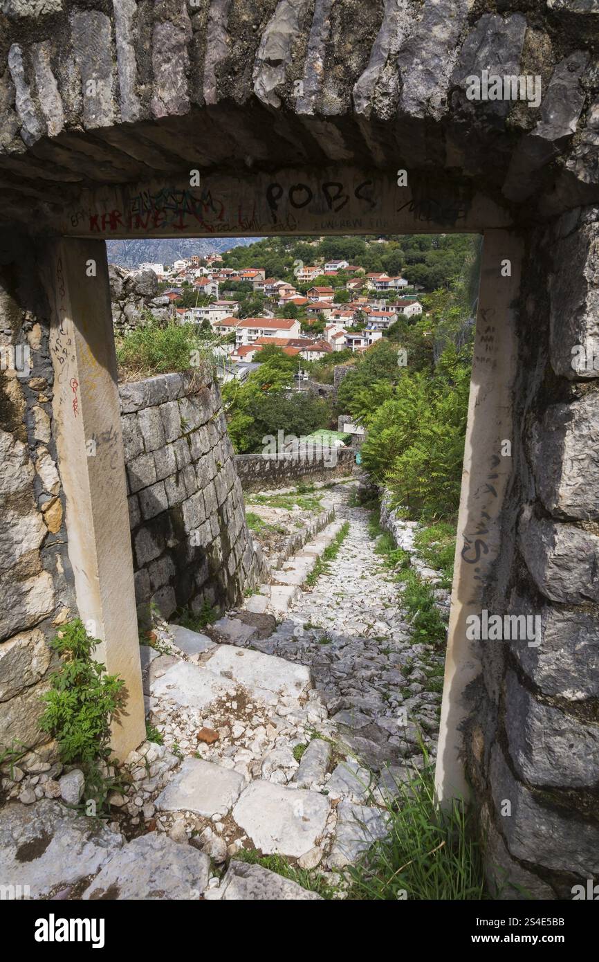 Blick durch ein altes, bogenförmiges Steintor auf dem ummauerten Bergwanderweg und Stufen, die von der Festung Kotor, Altstadt von Kotor, M, hinunter führen Stockfoto