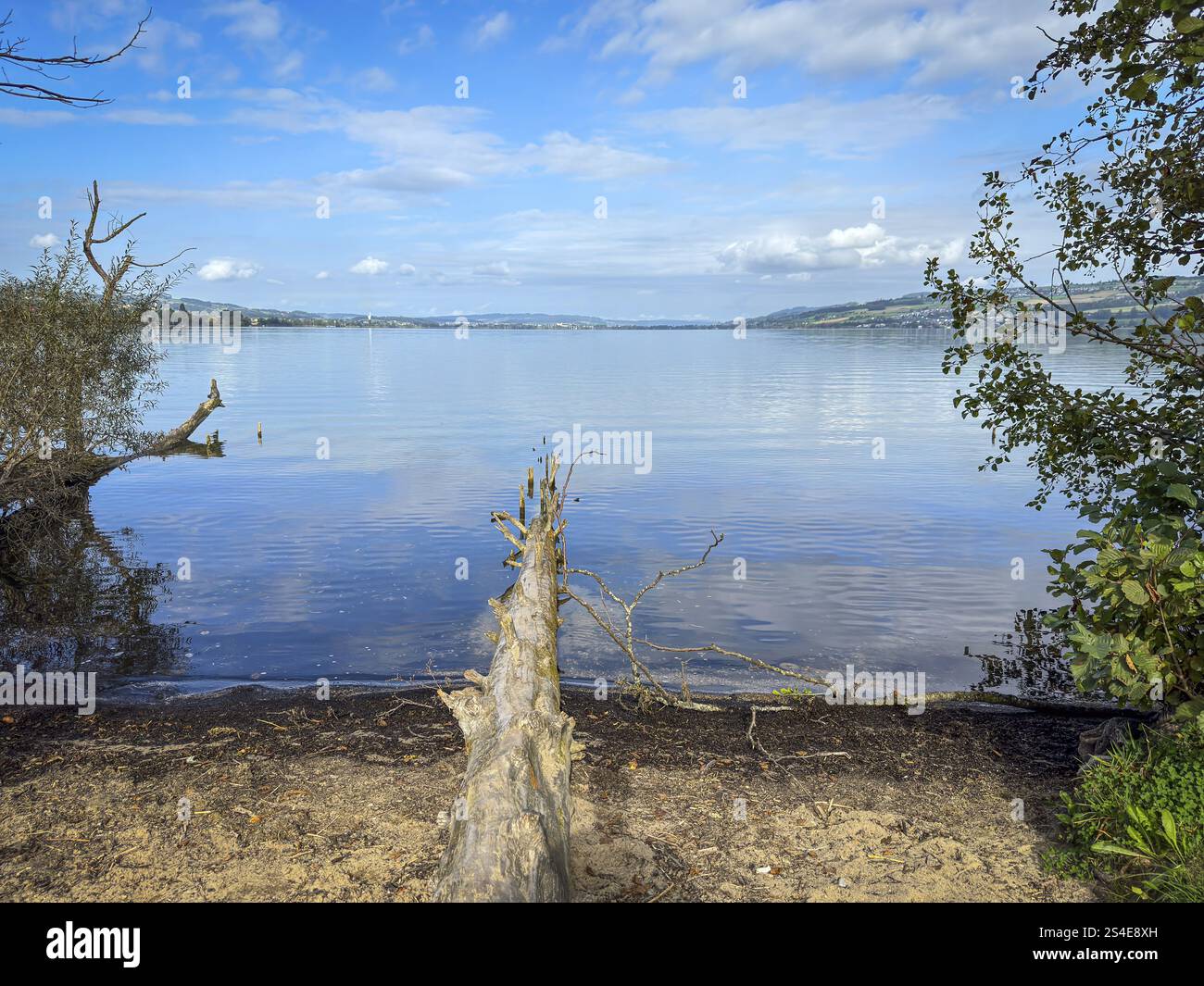 Ruhige Seenlandschaft mit blauem Himmel und Wolken, umgeben von Bäumen und natürlicher Idylle, Sempach, Luzern, Schweiz, Europa Stockfoto
