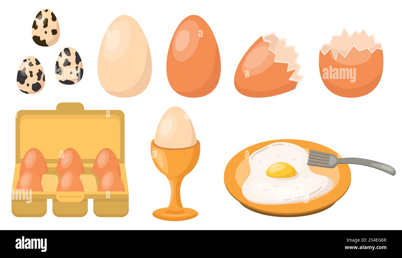 Hühnereier-Set, Wachteleier, gebraten oder roh, gebrochene Eierschalen, pochiertes Ei, Paket Eier in flacher Ausführung. Stock Vektor