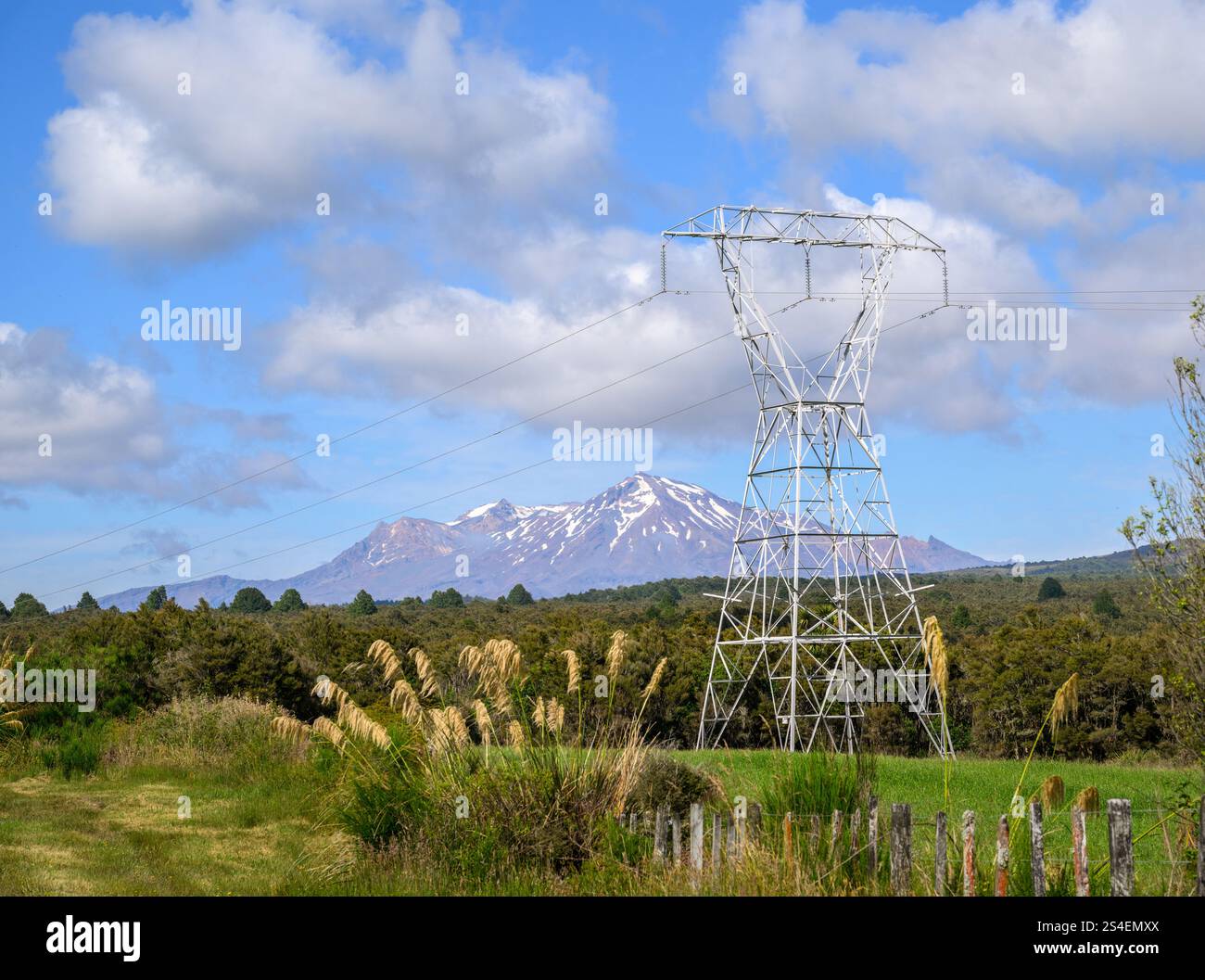 Großer Power Pylon und Stromleitungen entlang der Desert Road, Mount Ruapehu im Hintergrund. Tongariro Nationalpark. Neuseeland. Stockfoto