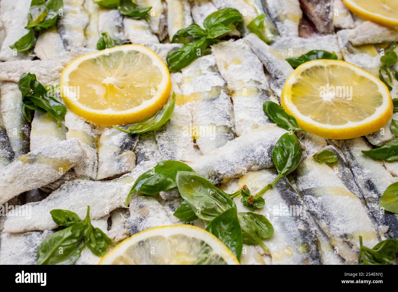 hering-Fisch in einem Tablett mit Olivenöl, Basilikumblättern und Zitronenscheiben Stockfoto
