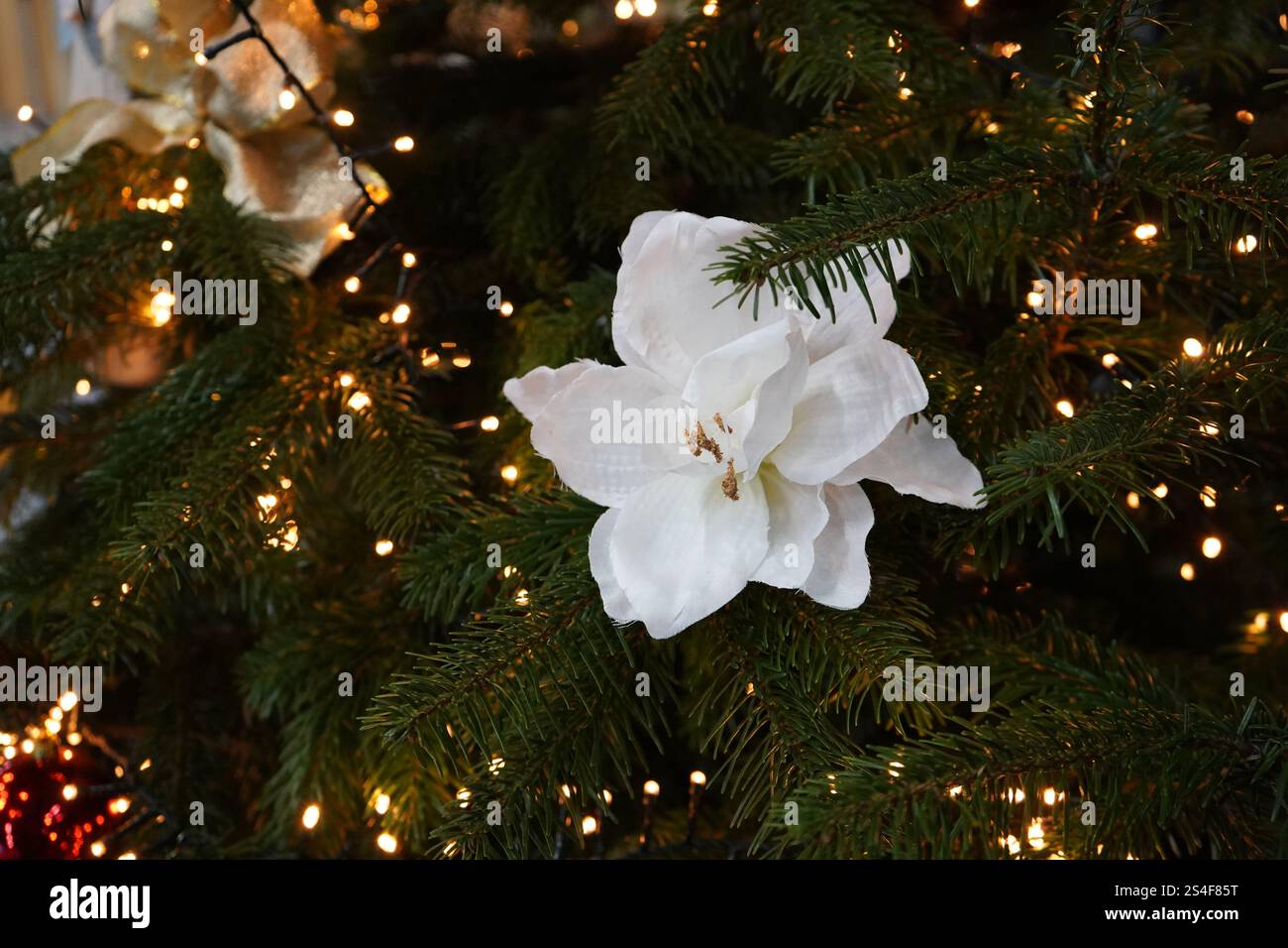 Blumenschmuck auf einem Weihnachtsbaum mit Lichtern Stockfoto