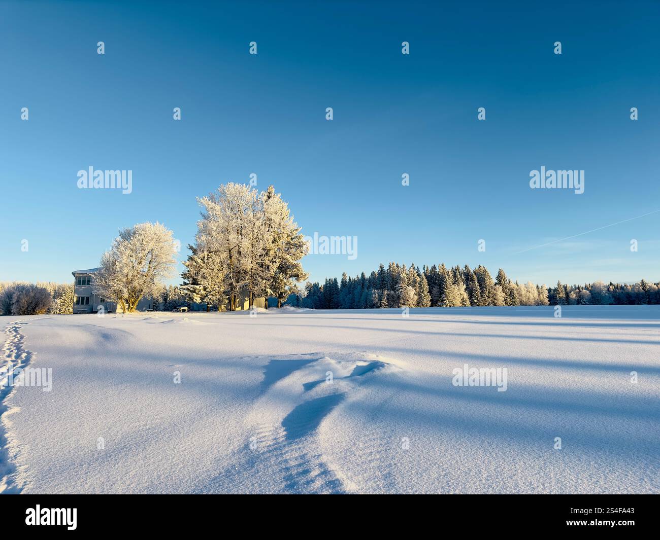 Winterlandschaft in Nordschweden - Smartphone-aufgenommenes Stockfoto