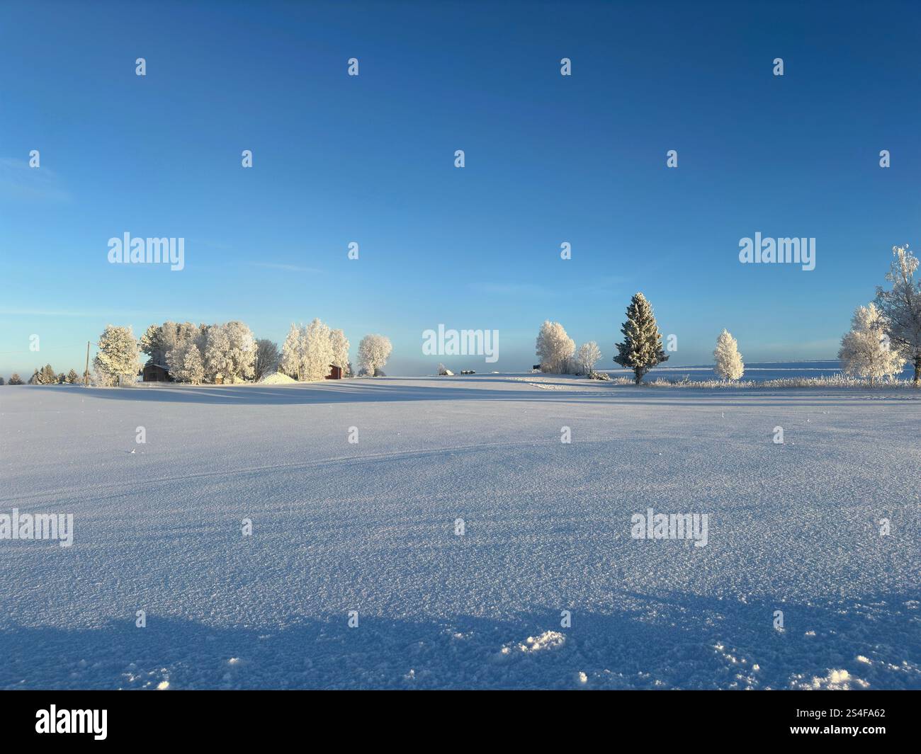 Winterlandschaft in Nordschweden - Smartphone-aufgenommenes Stockfoto
