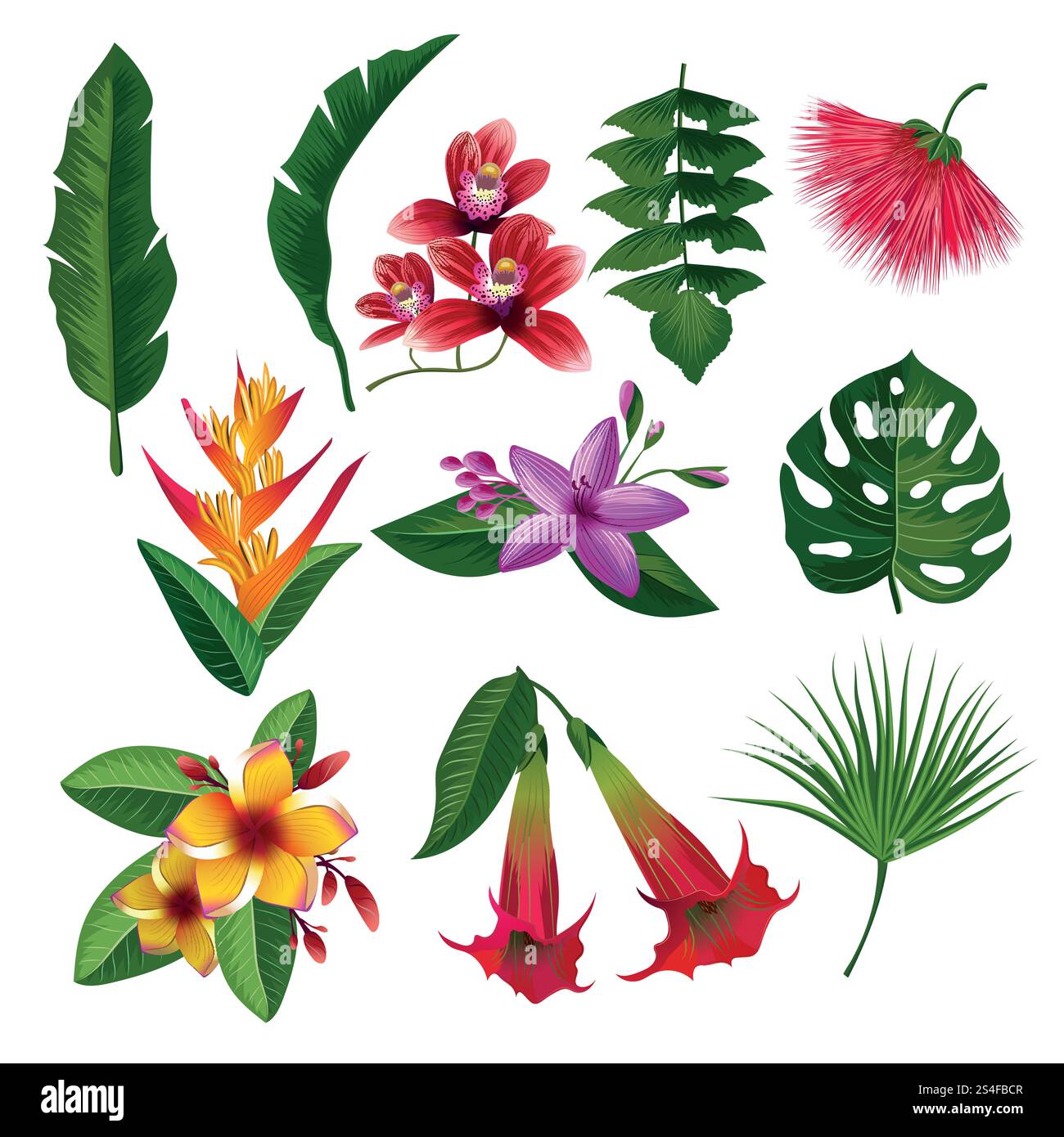 Tropische Pflanzen hawaii blüht Blätter und Zweige. Vektorabbildung auf weißem Hintergrund isolieren. Farbige Blüten- und Grünblüten. Tropische Pflanzen hawaii blüht Blätter und Zweige. Vektorabbildung auf weißem Hintergrund isolieren Stock Vektor