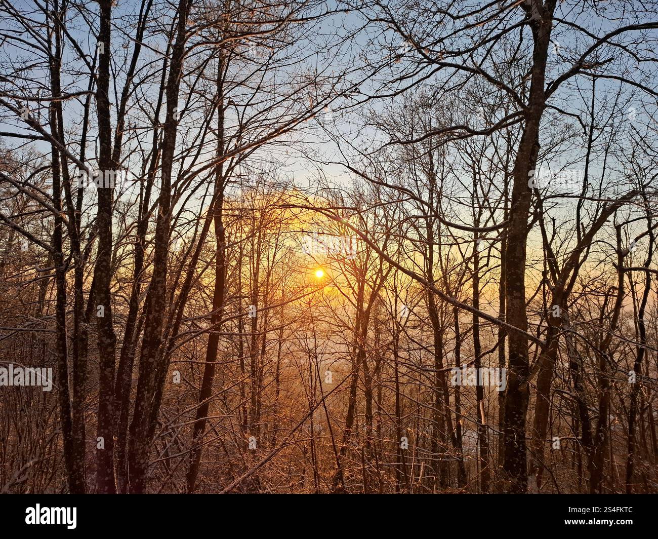 Sonnenuntergang in einem Winterwald in der Schweiz Stockfoto